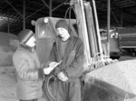 На знімку (зліва направо): директор насіннєвого заводу Таїсія Михайлівна Суворіна і водій автонавантажувача Сергій Миколайович Шаргородський за відправкою зерна, якого на насіннєвому заводі повні піднавіси. Фото Сергія КІСИКА. Ніби на гарантії