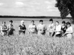Фото Руслана ХРАНОВСЬКОГО. На жіночих плечах