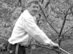 Такий «культиватор» у селищі Глинське мають у багатьох подвір’ях. "Соло" на городі
