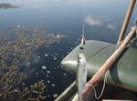  Заборонені місця для вилову риби
