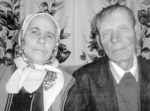 Лебедина вірність