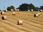  Портрет українського землевласника і фермера на тлі соціології