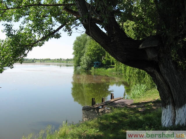 Вид на ставок