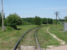 ДЖУЛИНКА