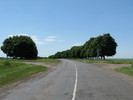 ДЖУЛИНКА
