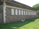 КРАСНОСІЛКА