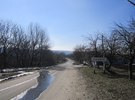 <b>ЛІСНИЧЕ</b><br />&#160;