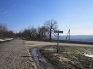 ЛІСНИЧЕ