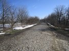 ЛІСНИЧЕ