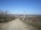ЛІСНИЧЕ