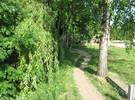 УСТЯ