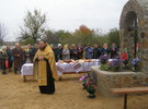 ФЛОРИНО