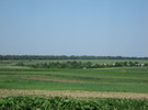 ШЛЯХОВА