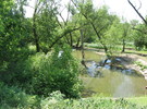 ШЛЯХОВА
