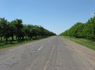 ШЛЯХОВА