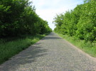 <b>ГЛИНСЬКЕ</b><br />