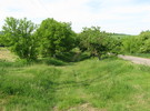ГЛИНСЬКЕ