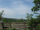 ГЛИНСЬКЕ