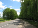 В центрі села Бирлівка