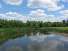 Річка Берладинка