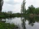 Річка Берладинка