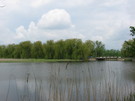 Річка Берладинка