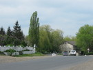 Дорога біля млину