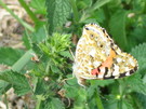 <b>Природа</b><br />