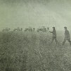 На ланах колгоспу "Маяк" підживлюють озимину. 1978р.