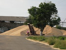 <b>Бирлівка. Жнива 2008</b><br />