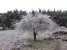 <b>Всі учасники</b><br />