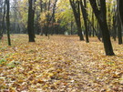 <b>Листопад</b><br />