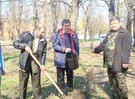 Весняна толока