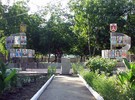 23 серпня - День Державного Прапора