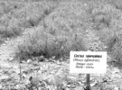 Екологічний проект "Впровадження інноваційних підходів щодо підвищення екологічної безпеки населення Бершадського району"