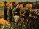 Кавун Василь Михайлович