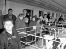 <b>Я люблю молоко</b><br />Зовсім недавно у районній газеті розповідалося про семінар на базі устянського господарства, учасниками якого стали...