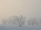 <b>Зима</b><br />&#160;Один зимовий день